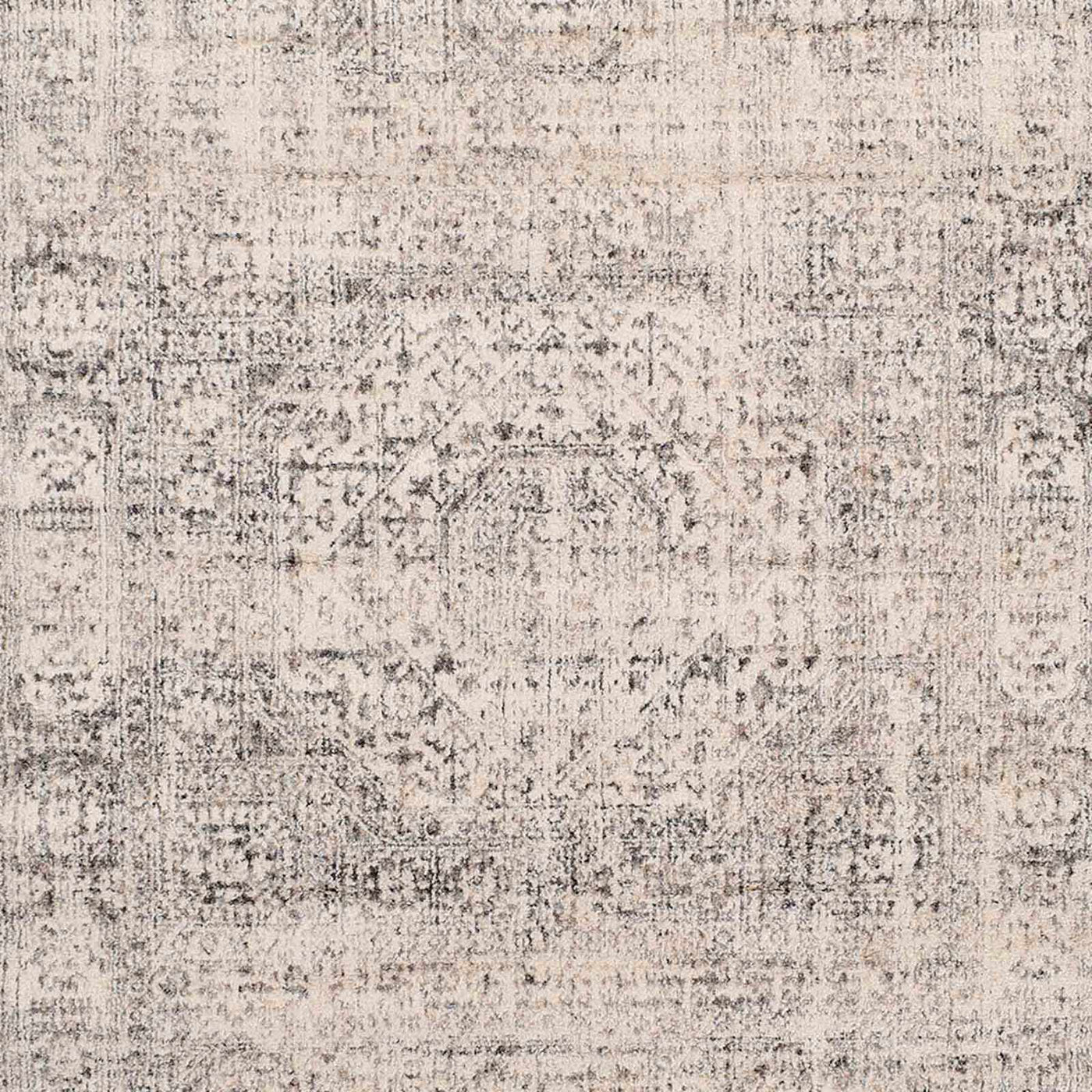Firenze Neutral Traditional Area Rug — detail view 1