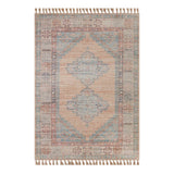 E336 Honeybloom Anna Vintage Medallion Fringe Outdoor Area Rug