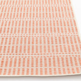 Clyde Peach Striped Outdoor Area Rug — detail view 1